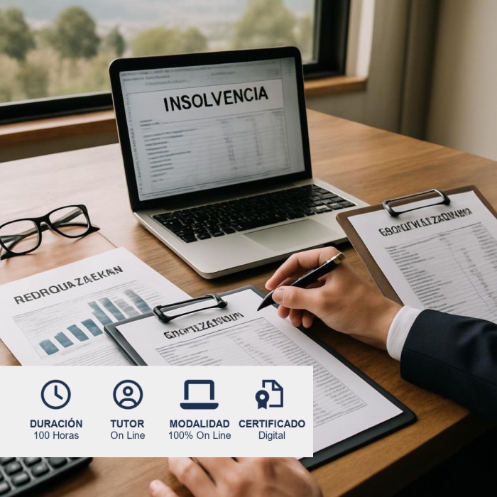 Insolvencia, Liquidación y Reorganización de Empresas
